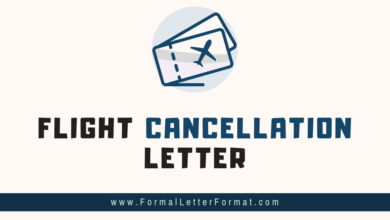 Photo of Flight Ticket Cancellation and Reschedule Request Letter – Writing a Flight Cancellation Letter to an Airline